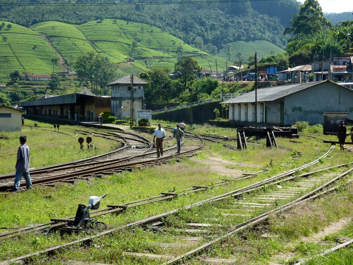 The Train View Bed and Breakfast Nuwara Eliya Exteriör bild